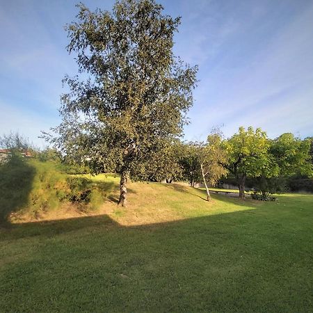 Appartement A Hendaye Avec Piscine Et A Cote De La Plage 외부 사진
